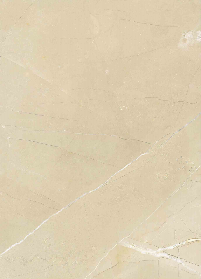 חיפוידמוישיש